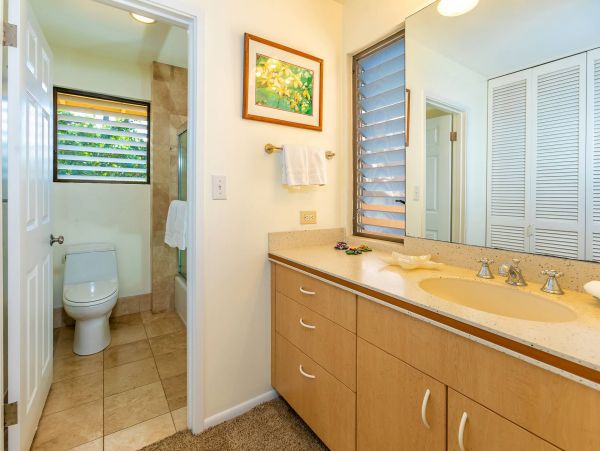 Wailea Condo 976743