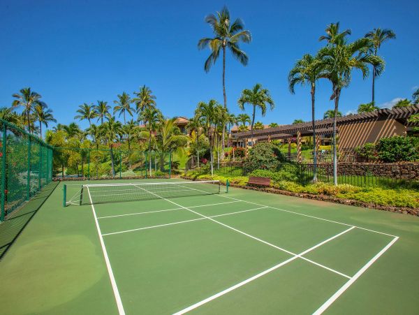 Wailea Condo 976743