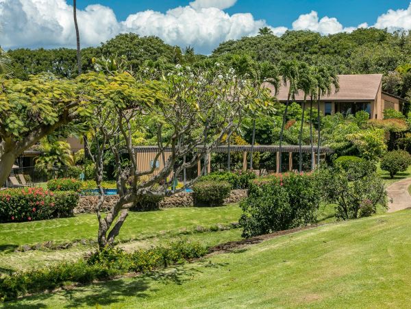 Wailea Condo 976743