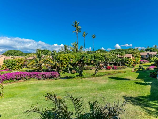 Wailea Condo 976743