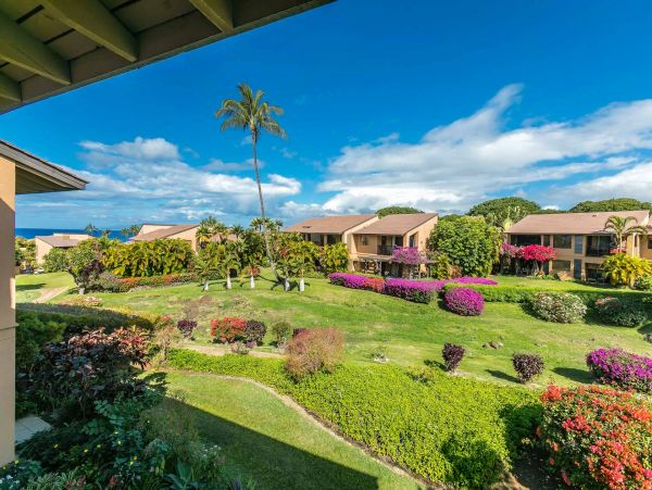 Wailea Condo 976744