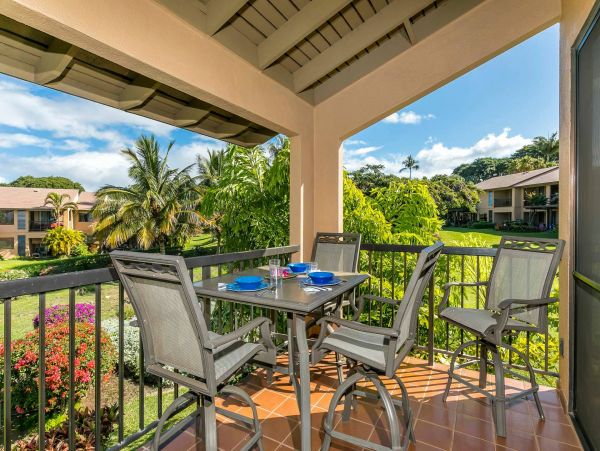 Wailea Condo 976744