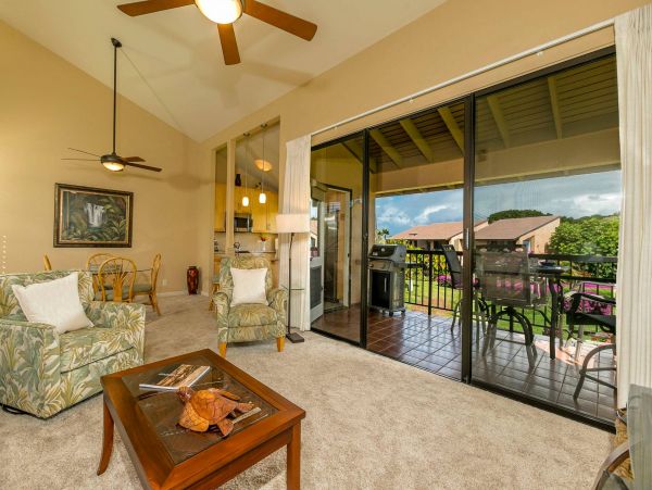 Wailea Condo 976744