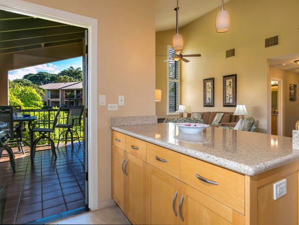 Wailea Condo 976744
