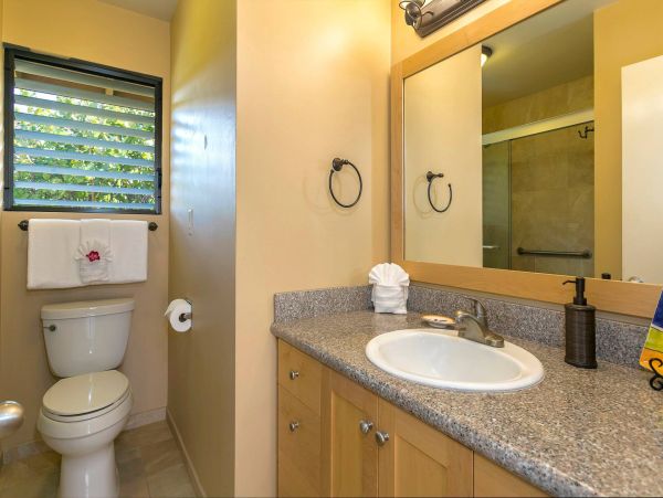 Wailea Condo 976744