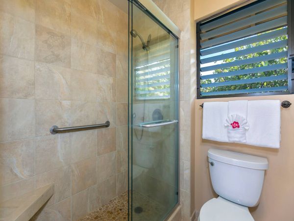 Wailea Condo 976744