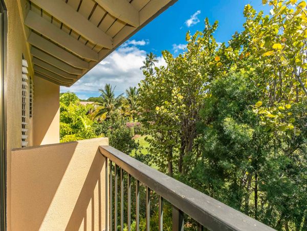 Wailea Condo 976744
