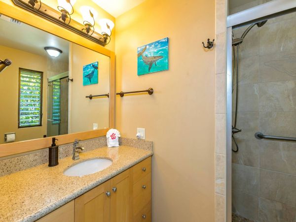 Wailea Condo 976744