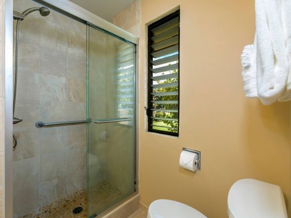 Wailea Condo 976744