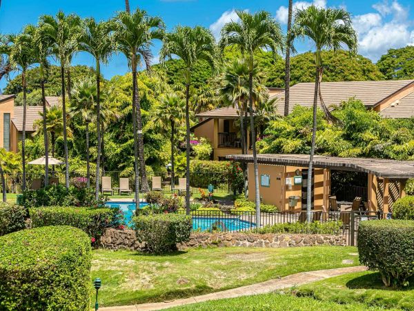 Wailea Condo 976744