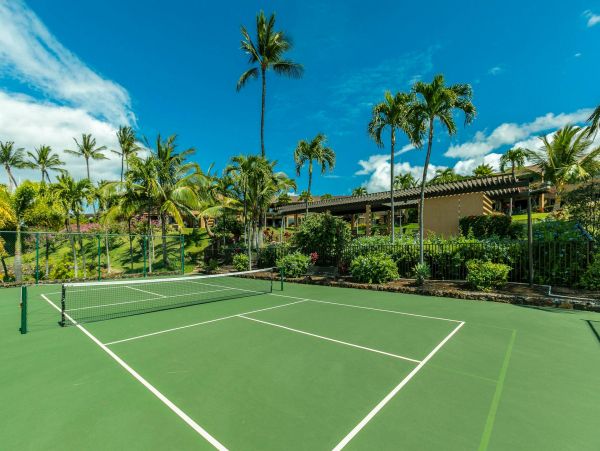 Wailea Condo 976744