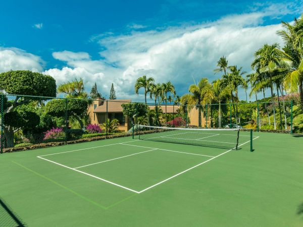 Wailea Condo 976744