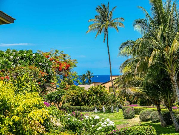 Wailea Condo 976744