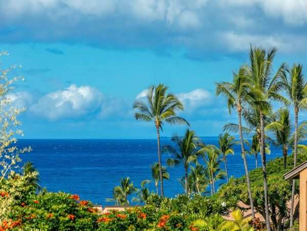 Wailea Condo 976745