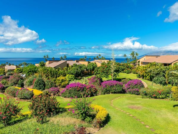 Wailea Condo 976745
