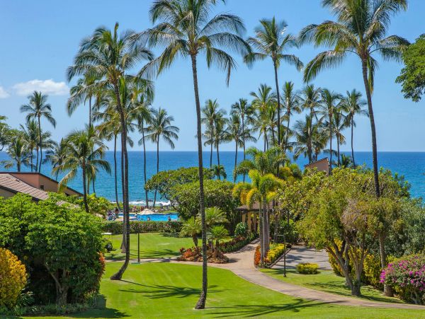 Wailea Condo 976745