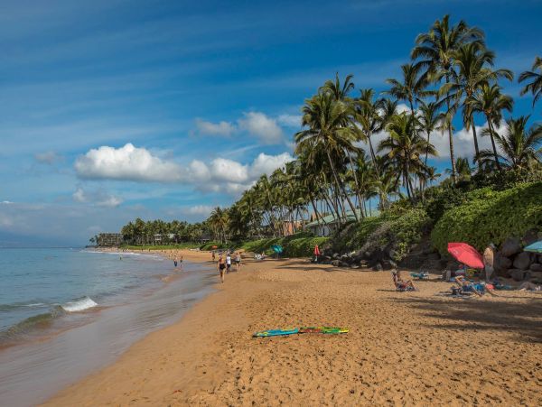 Wailea Condo 976745