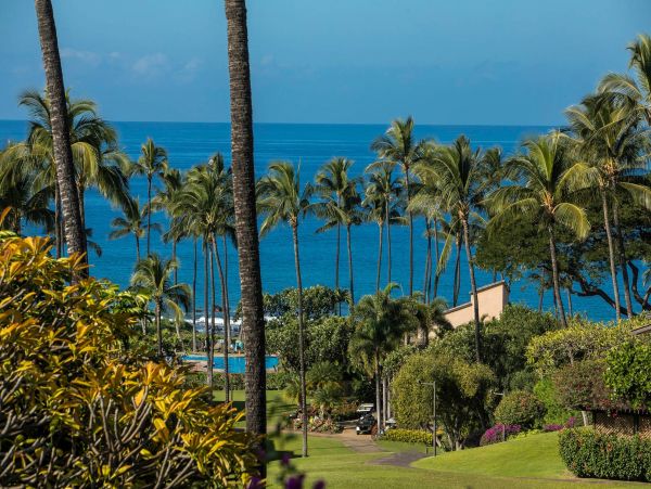 Wailea Condo 976747