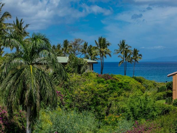 Wailea Condo 976747