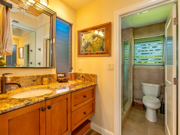 Wailea Condo 976747