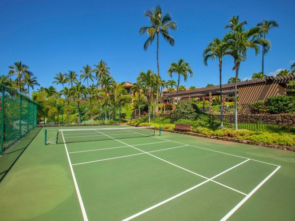 Wailea Condo 976747