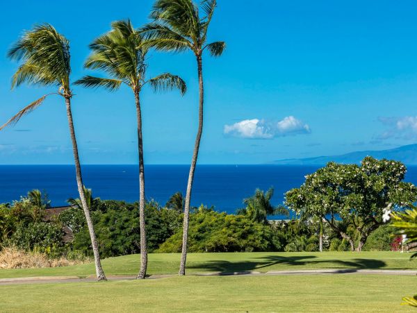 Wailea Condo 976748