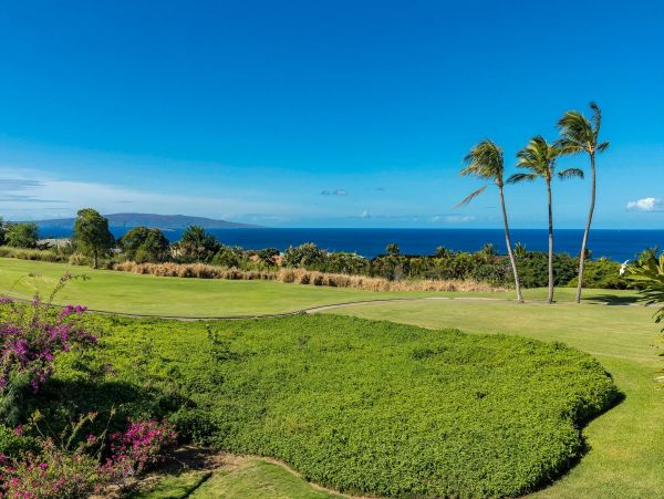 Wailea Condo 976748