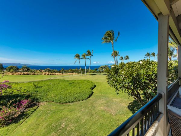Wailea Condo 976748