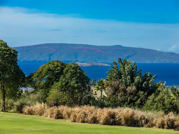 Wailea Condo 976748