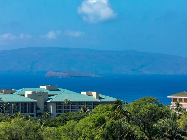 Wailea Condo 976749