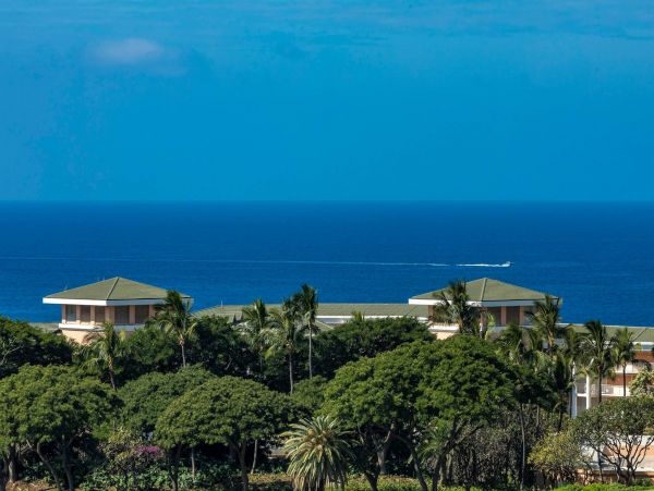 Wailea Condo 976749