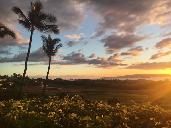 Wailea Condo 976749
