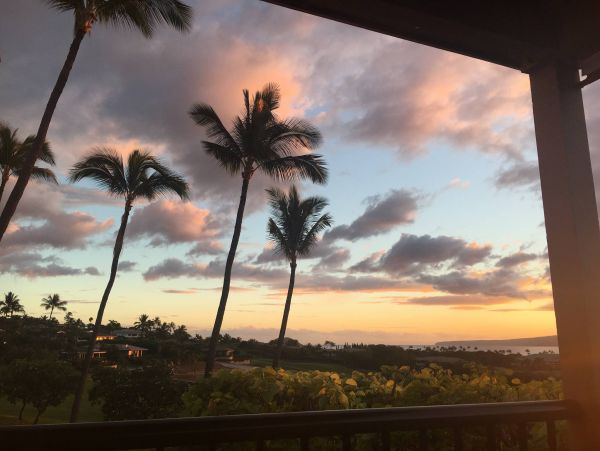 Wailea Condo 976749