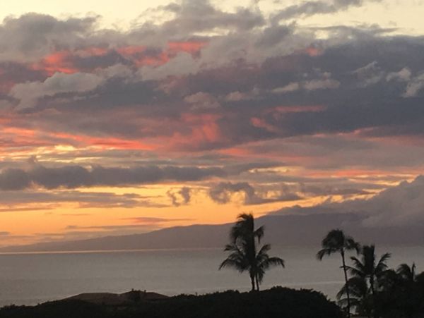 Wailea Condo 976749