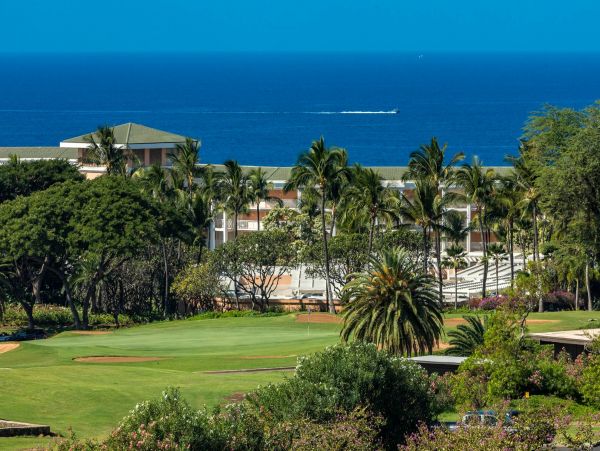 Wailea Condo 976749