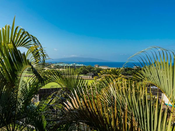 Wailea Condo 976749