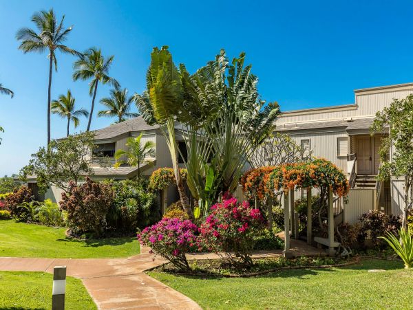 Wailea Condo 976749
