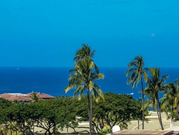 Wailea Condo 976749
