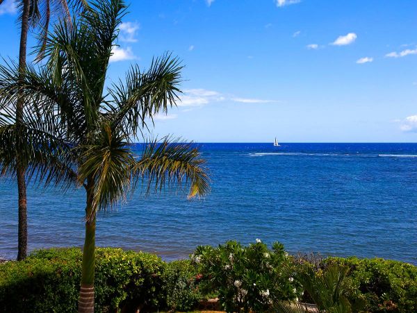 Lahaina Home 976751