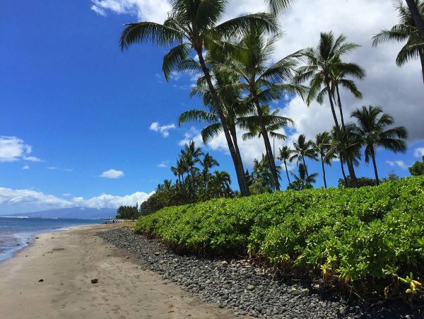 Lahaina Home 976751