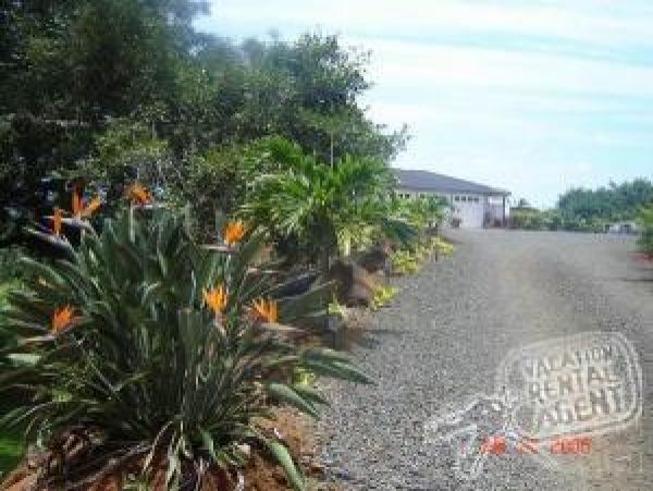 Koloapoipu Condo 976799
