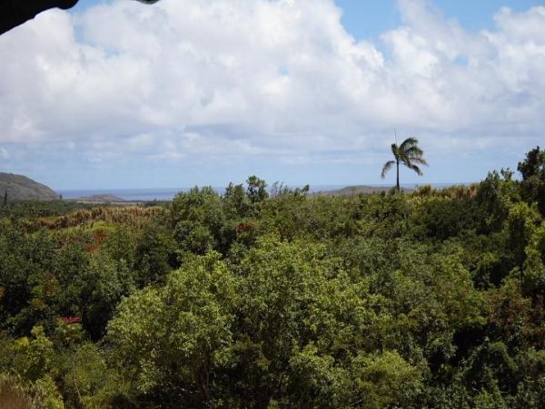 Koloapoipu Condo 976799