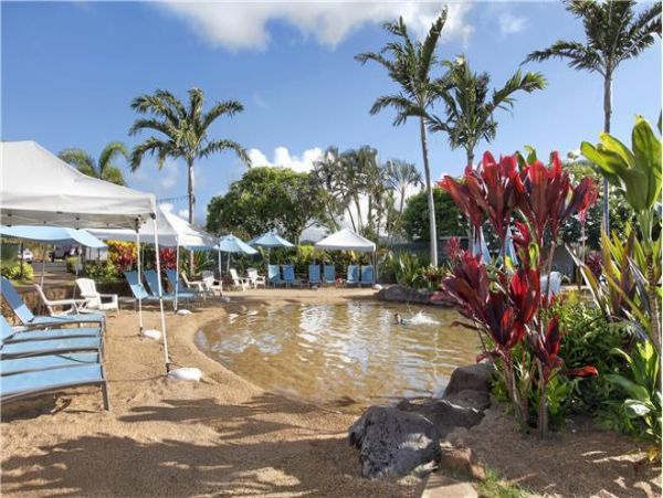 Koloapoipu Condo 976809