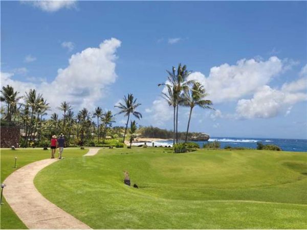 Koloapoipu Condo 976845