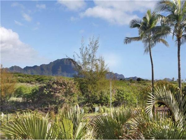 Koloapoipu Condo 976885