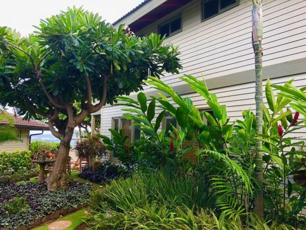 Koloapoipu Home 976912