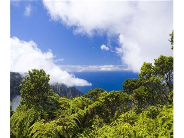Koloapoipu Condo 976922