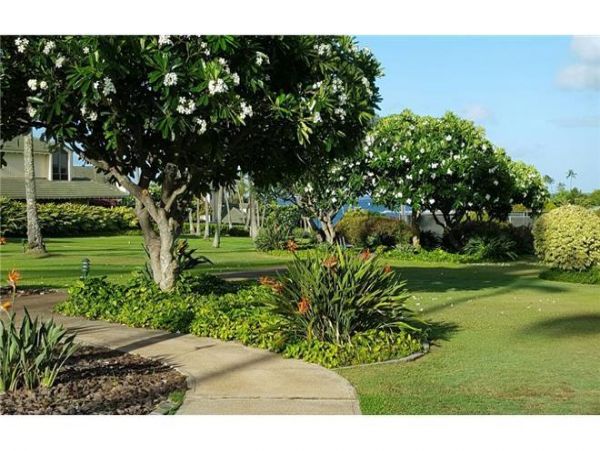 Koloapoipu Condo 976925
