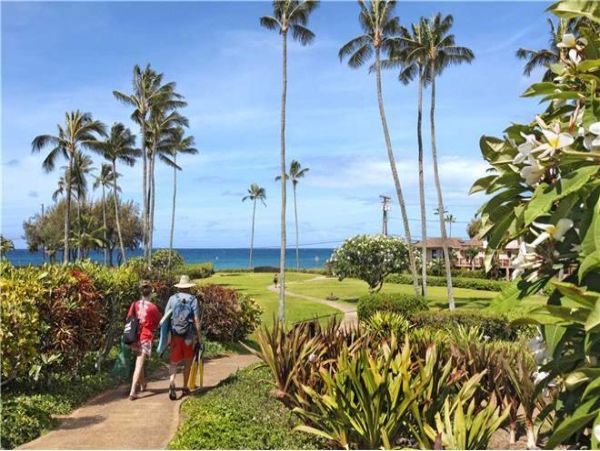 Koloapoipu Condo 976926