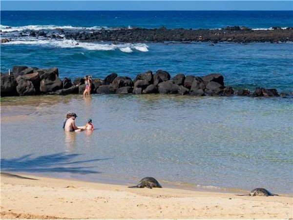 Koloapoipu Condo 976929